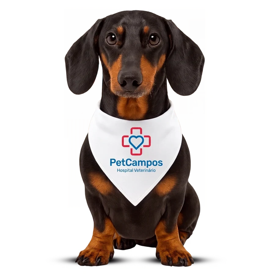 Cachorro com a bandana do PetCampos Hospital Veterinário