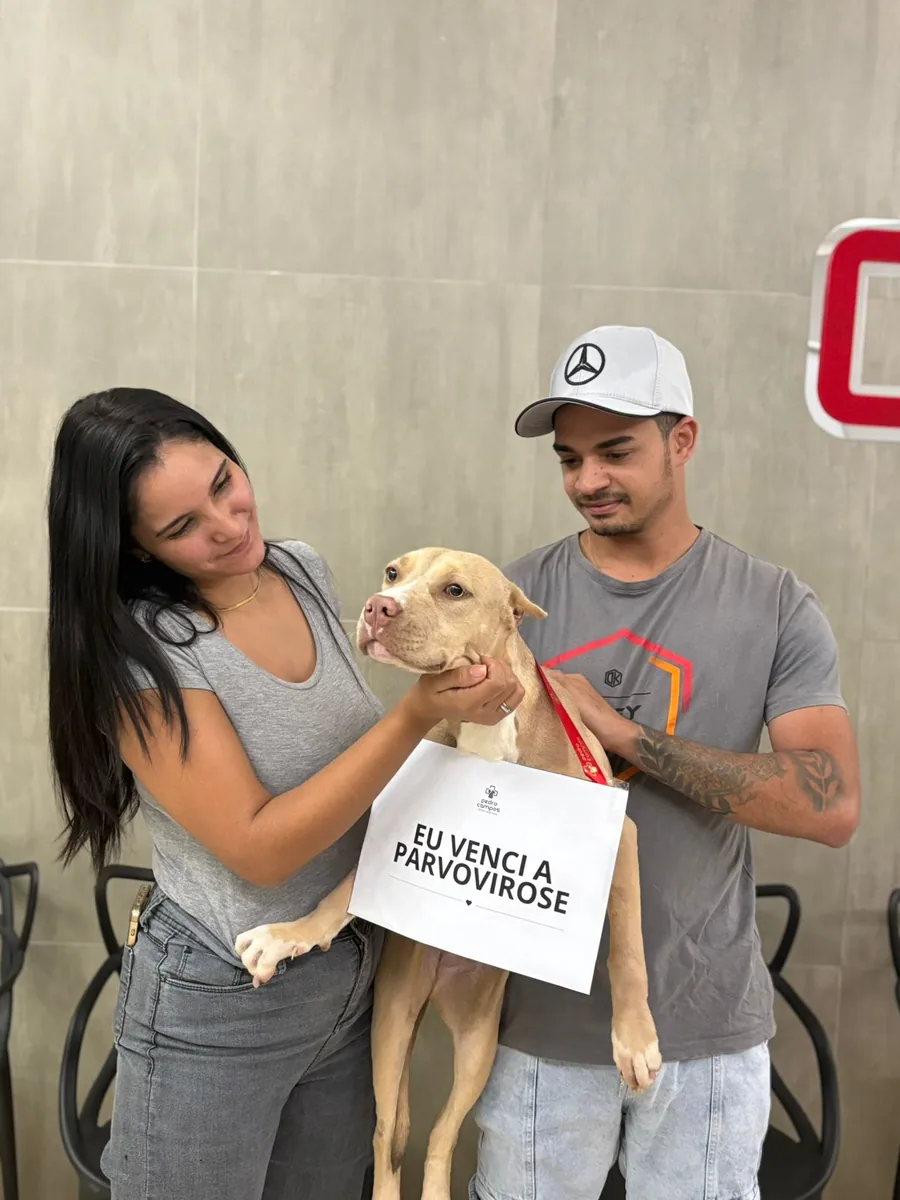 Paciente atendido pelo PetCampos